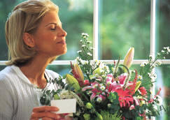 St. Augustine Florist and Flowers by Shirley - For flower plant and gift basket delivery in St. Augustine, Florida FL - Your Saint Augustine Florist
