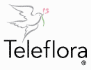 Teleflora Florist in St. Augustine South Florida