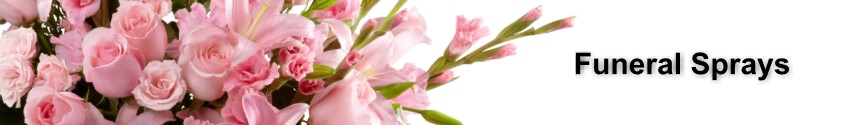 Funeral Sprays delivered in St Augustine, FL and to Coleman's Mortuary, Craig Funeral Home, Leo C. Chase and Son Funeral Home, and St. Johns Family Funeral Home