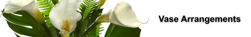 Funeral and Sympathy Vase Arrangements to Coleman's Mortuary, Craig Funeral Home, Leo C. Chase and Son Funeral Home, and St. Johns Family Funeral Home near our florist in St Augustine
