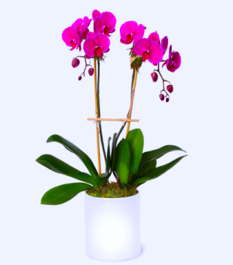 click to see more