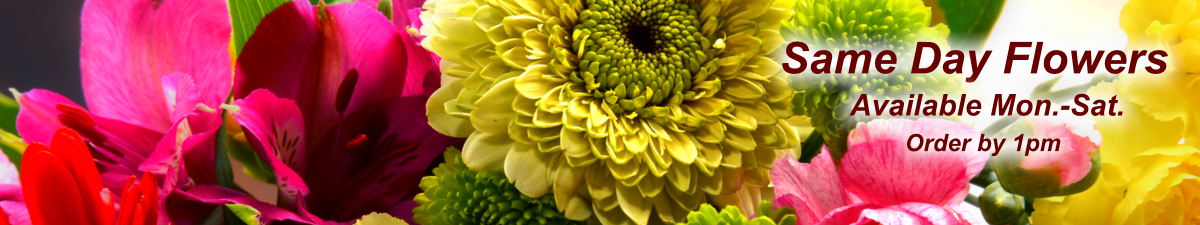 Everyday-Flowers